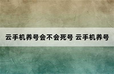 云手机养号会不会死号 云手机养号